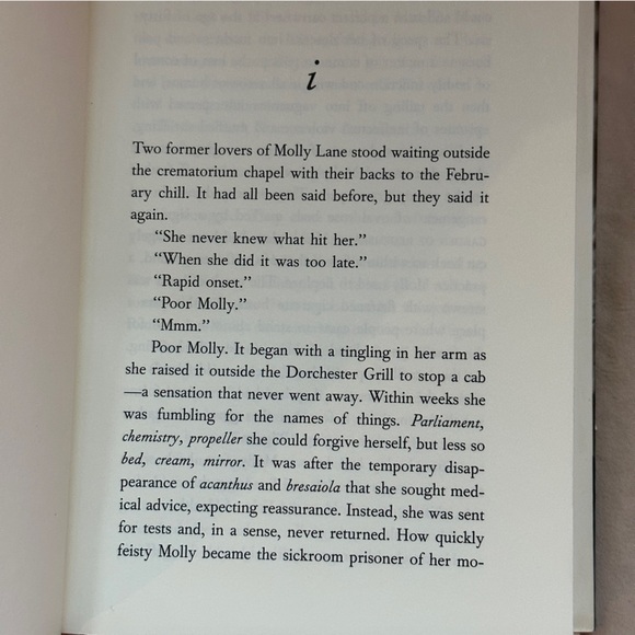 Amsterdam: A Novel by Ian McEwan | Literary Fiction | Hardcover Book - Picture 4 of 7
